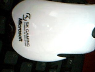 111.jpg