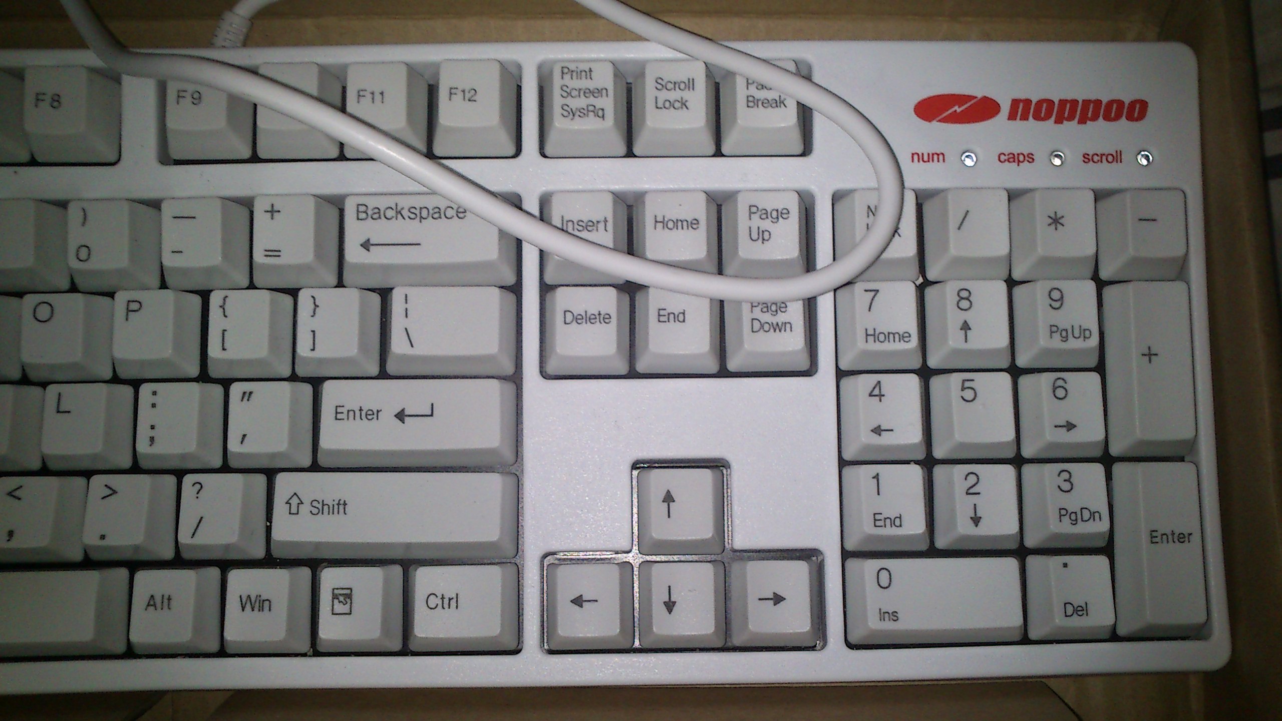 ����9.9����ŵ���޳���ɫ����1��