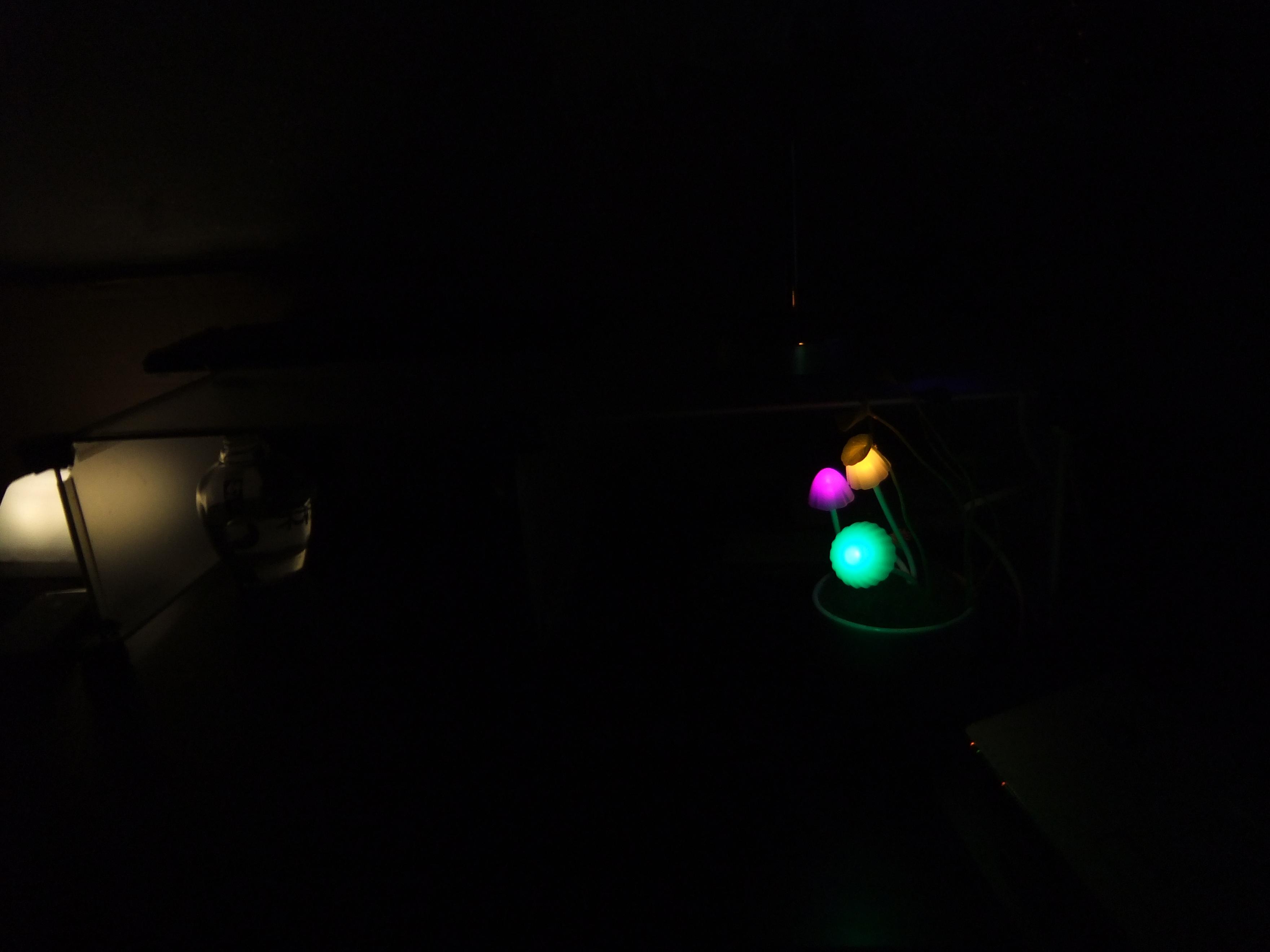 DSCF0969.jpg