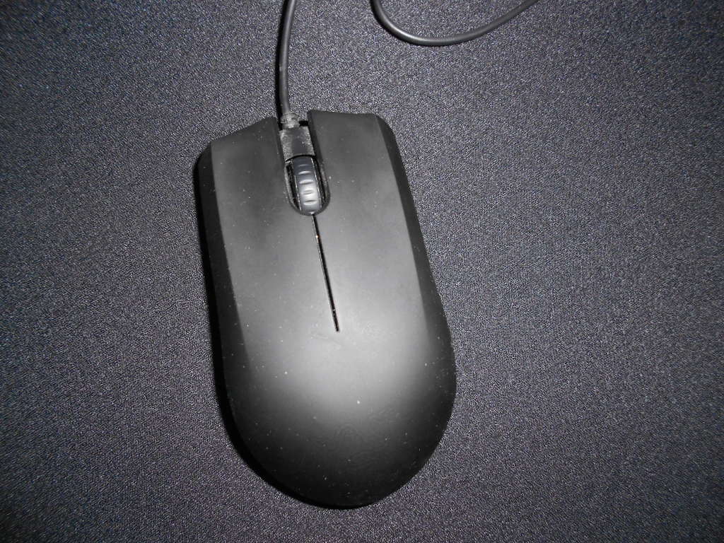 DSCN0083.JPG