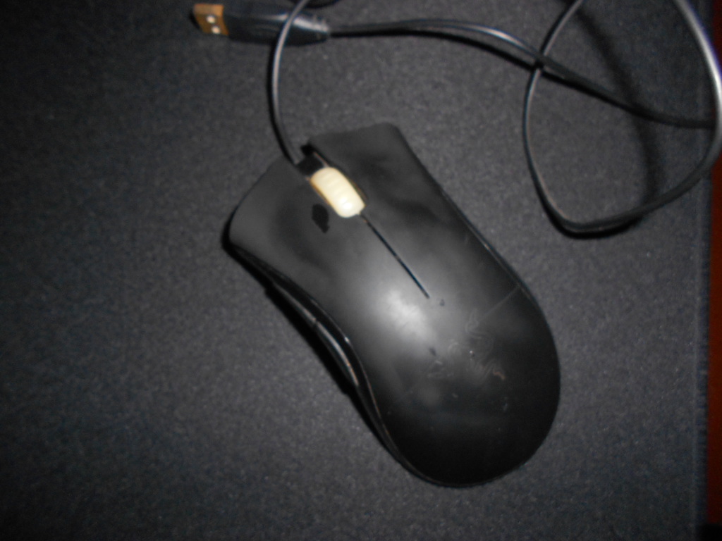 DSCN0076.JPG