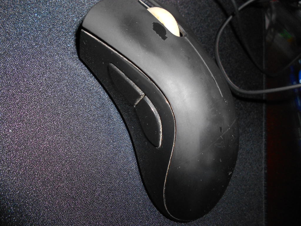 DSCN0077.JPG