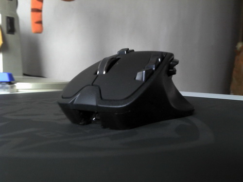 IMG_20111213_100527.jpg