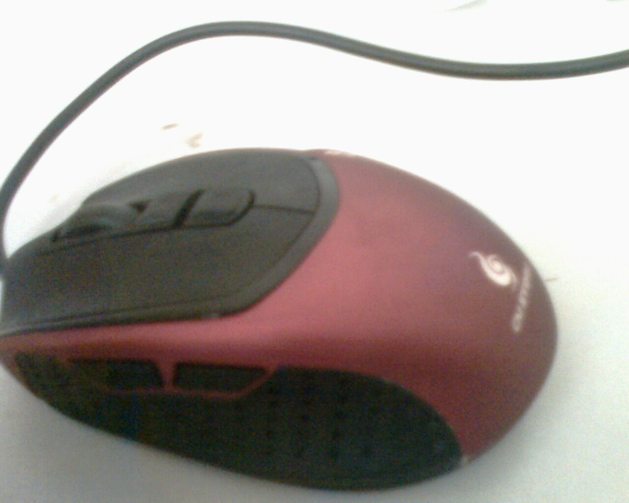 picture_00028.jpg