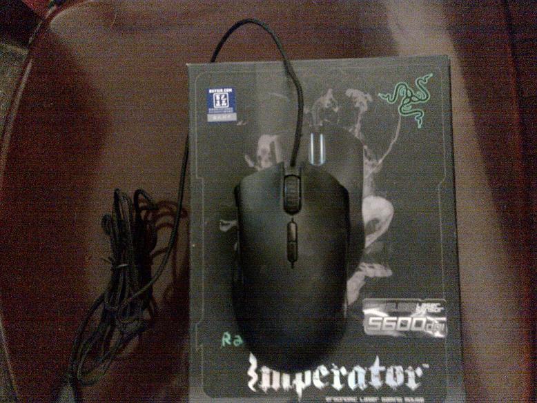 �������۵������ϰ�FNATIC�����С��