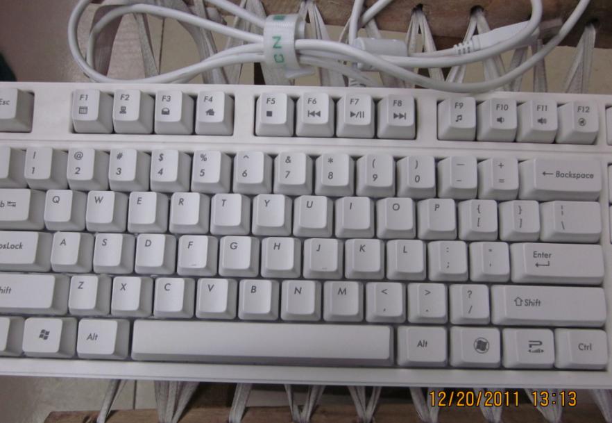 1.JPG