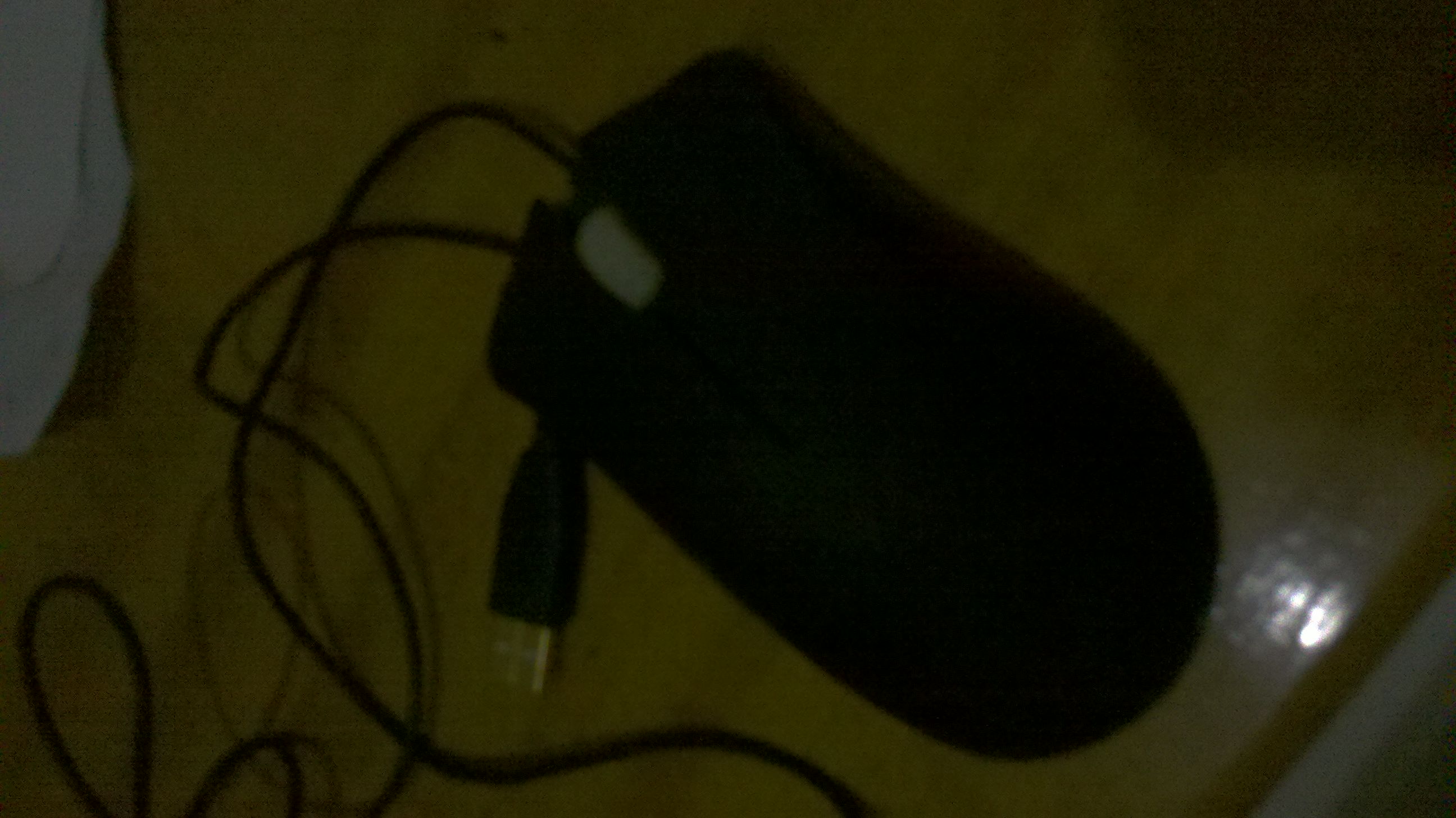 IMG_20111221_174952.jpg