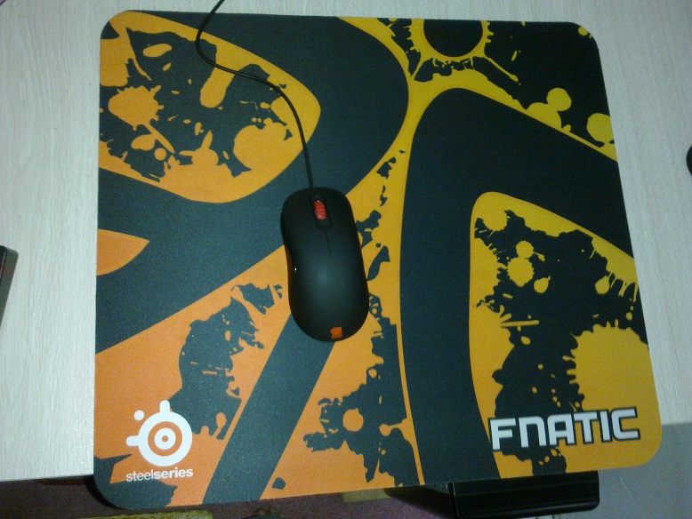 ���� ���� QCK FNATIC��