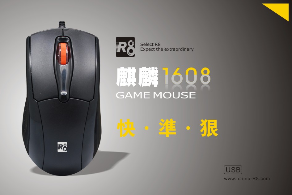 R8 1618�¿���꣬����