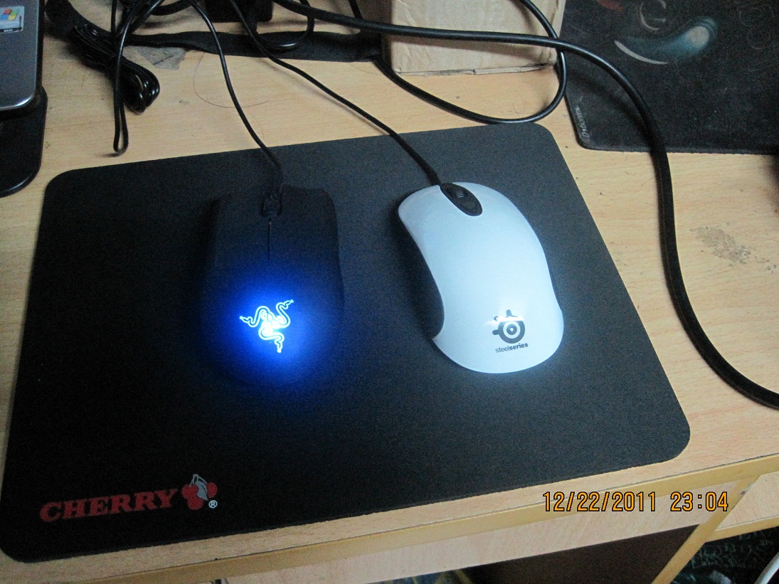 ���ѳ�������kinzu