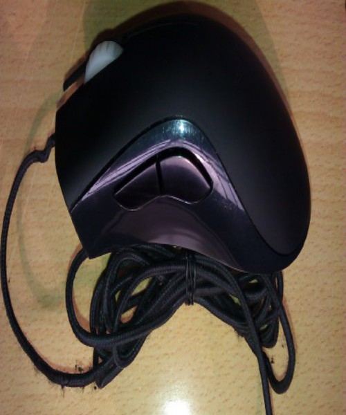 IMAG0029.jpg