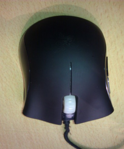 IMAG0028.jpg