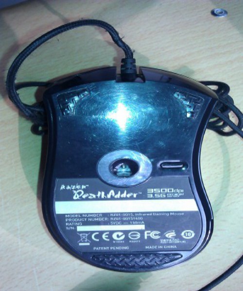 IMAG0031.jpg