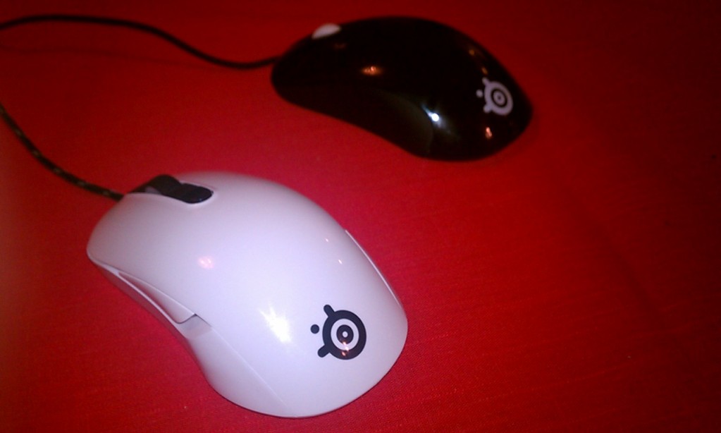 IMAG0318.jpg