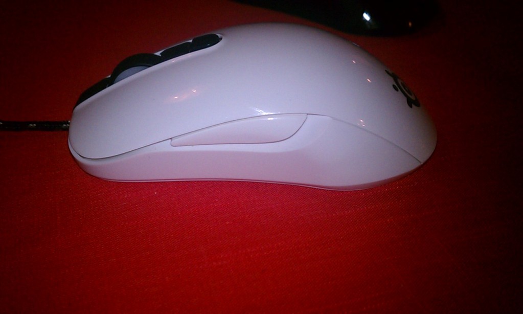 IMAG0319.jpg