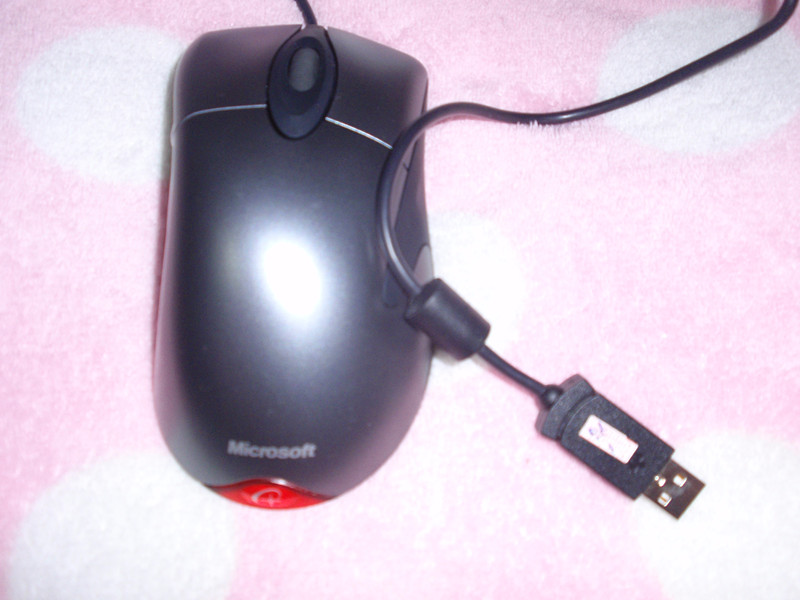 PC100726_����.jpg