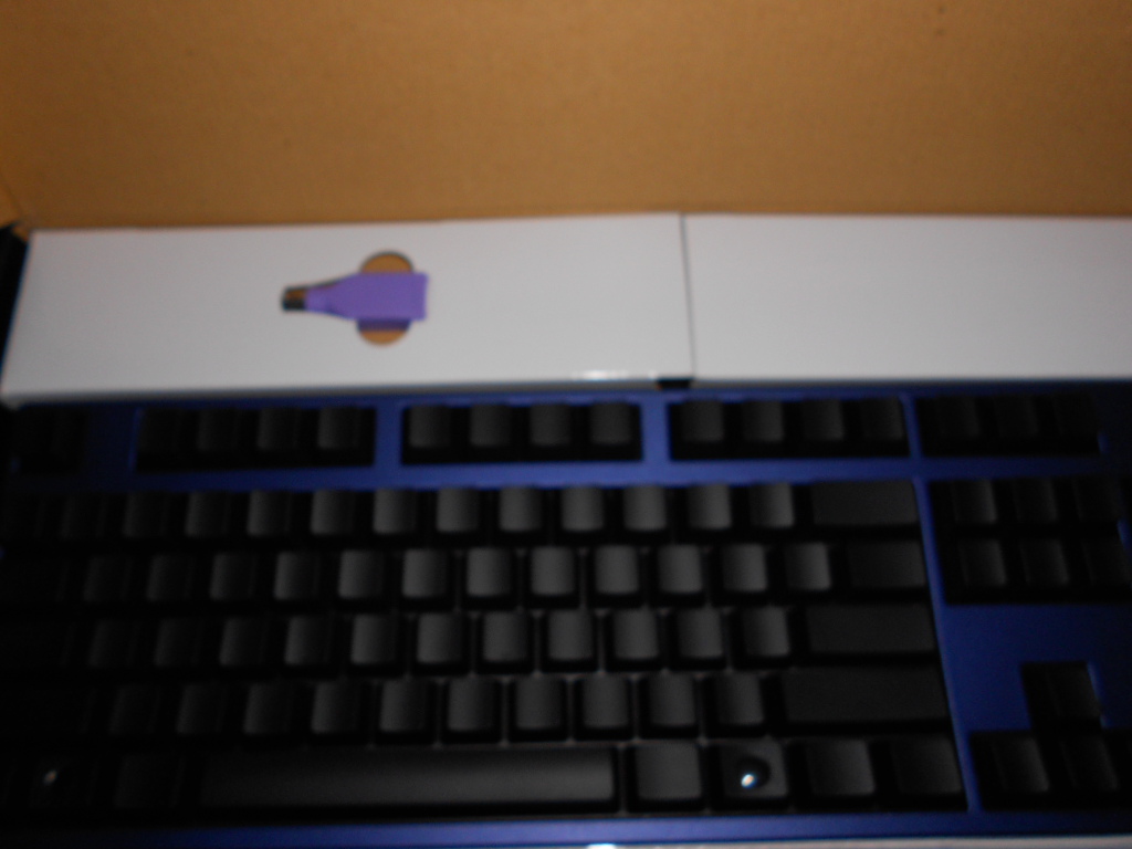 DSCN0095.JPG