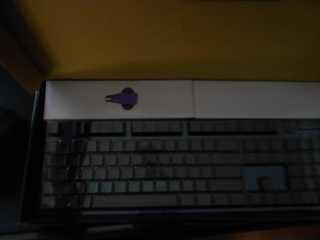 DSCN0088.JPG