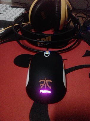 Sensei FnaticMSI�����֣���