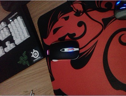 Sensei FnaticMSI�����֣���