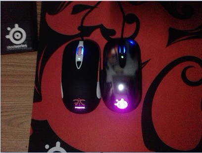 Sensei FnaticMSI�����֣���