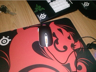 Sensei FnaticMSI�����֣���