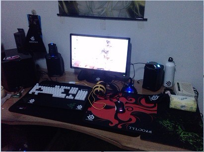 Sensei FnaticMSI�����֣���
