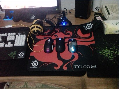 Sensei FnaticMSI�����֣���