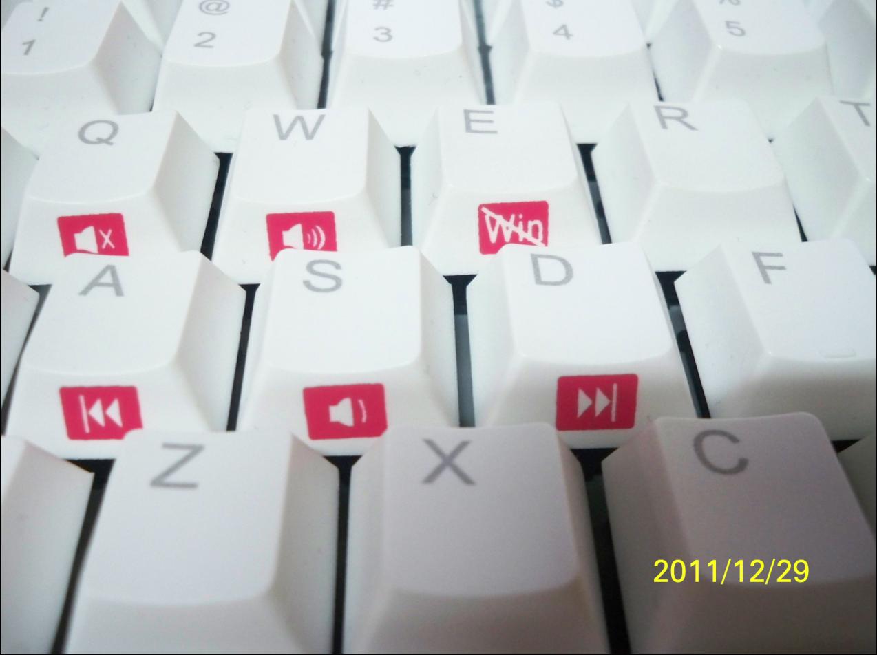1.JPG