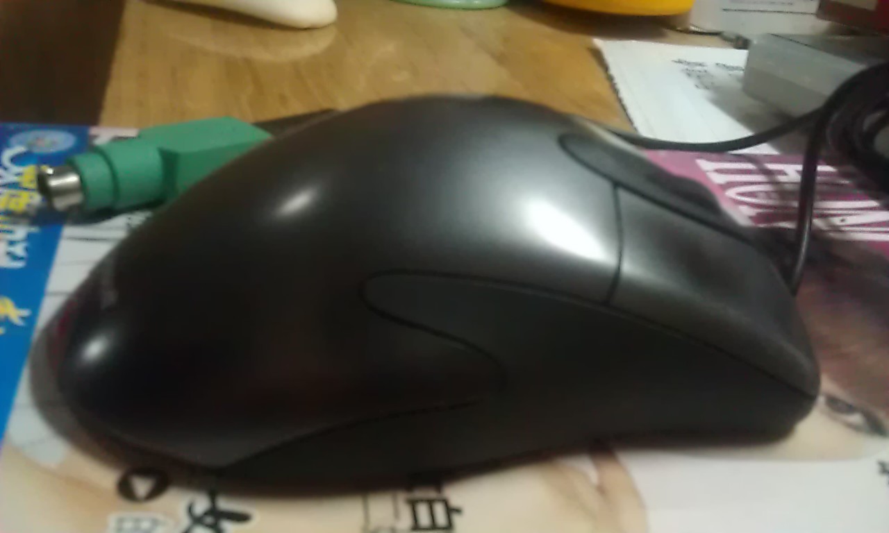 IMAG0177.jpg