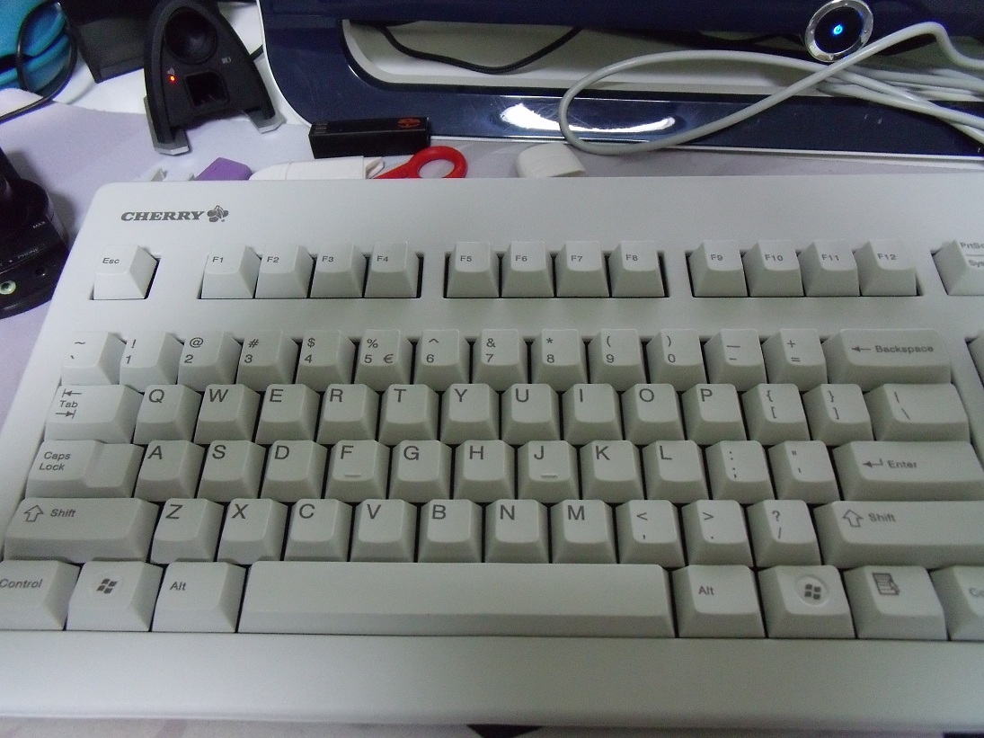 ������ �۸��Ѹ� ���㶫���ػ�Ѫ filco ԭ�� �� �޵м׳� RAT9