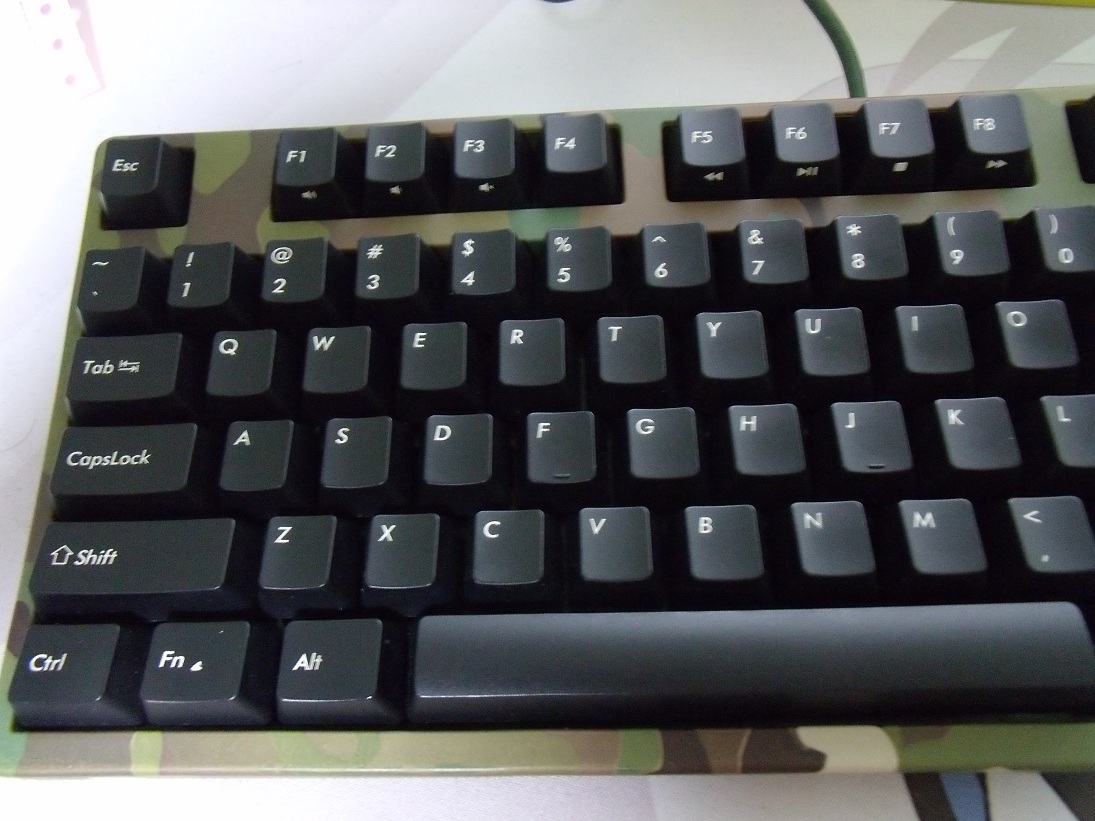 ������ �۸��Ѹ� ���㶫���ػ�Ѫ filco ԭ�� �� �޵м׳� RAT9