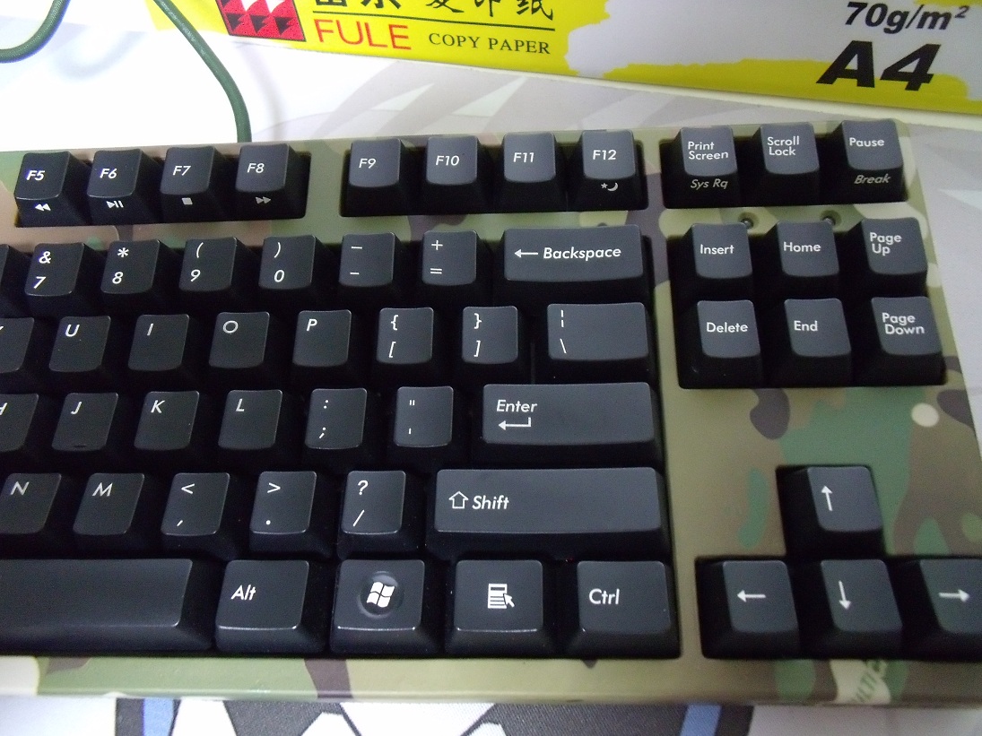 ������ �۸��Ѹ� ���㶫���ػ�Ѫ filco ԭ�� �� �޵м׳� RAT9