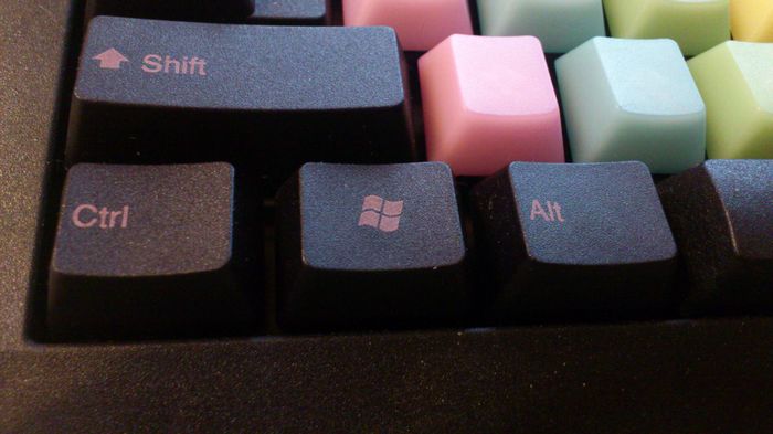 nEO_IMG_DSC_0772.jpg