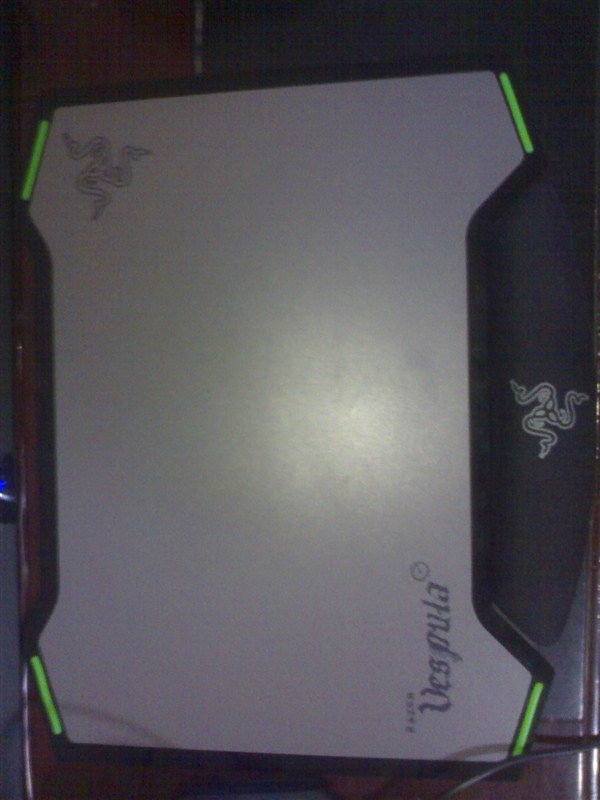 出售雷蛇 黄斑胡蜂垫子