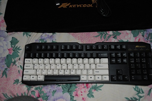 KC4.JPG