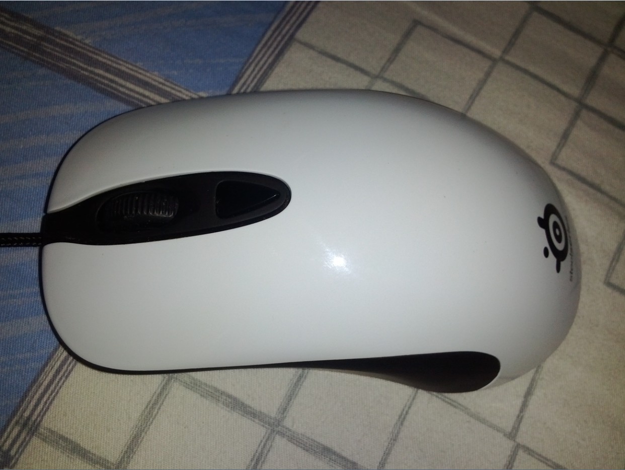 PLU87�ں�  ����