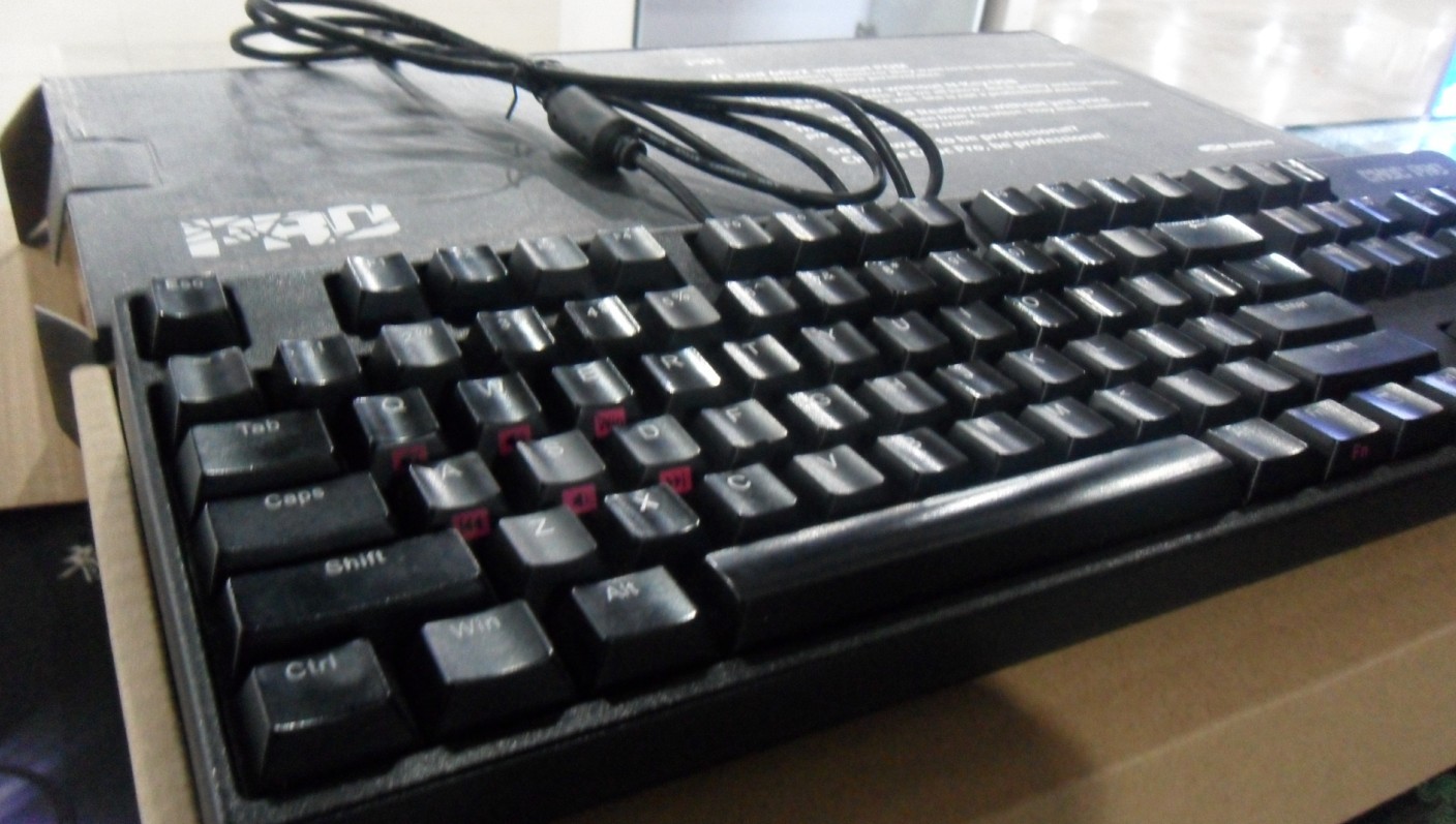 NOPPOOPC333DXAI¥