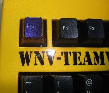 G80 1865