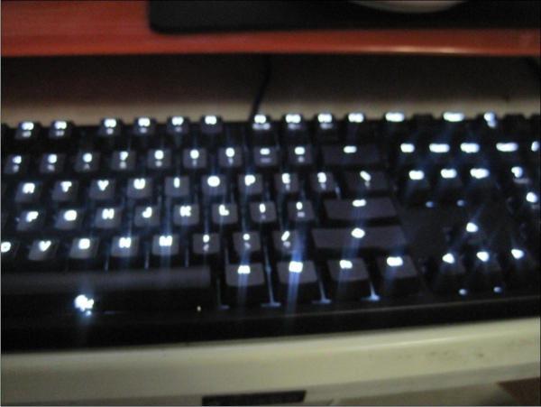 ducky shinning