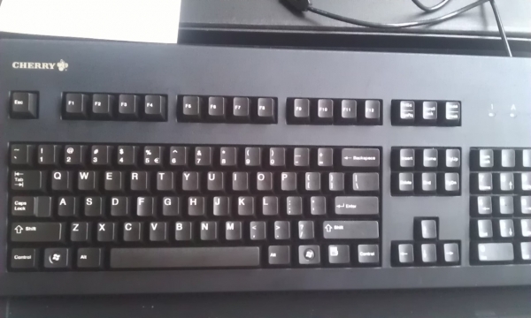 G80-3000  ��ɫ����    ��˵ȫ  ��ë��  95-99��  ����