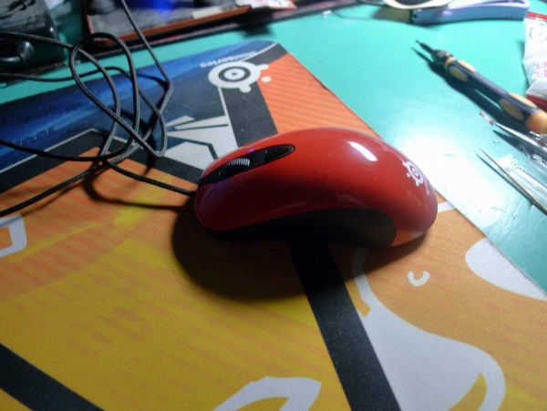 KINZU1����