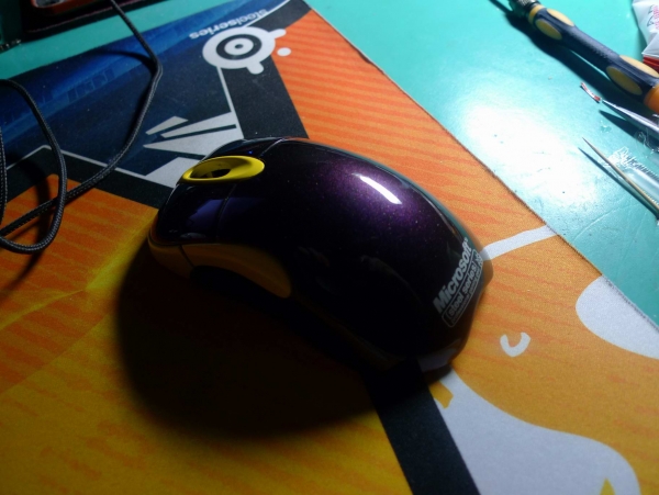 IO MOD��ɫ�����