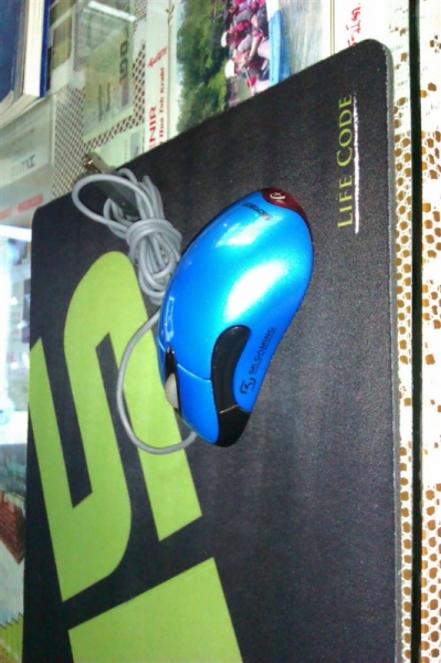 H5��ɫ����