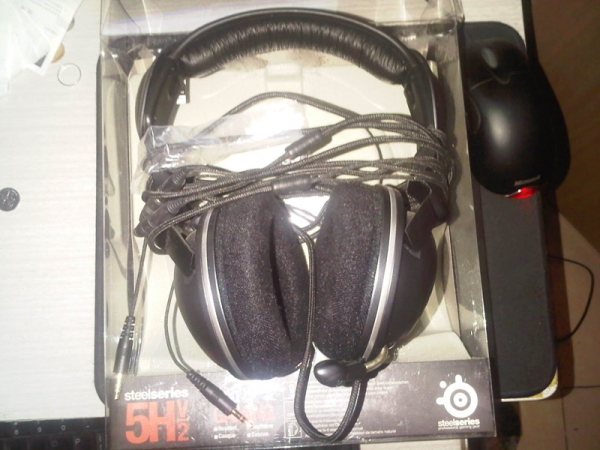 5HV2 ��ɫ