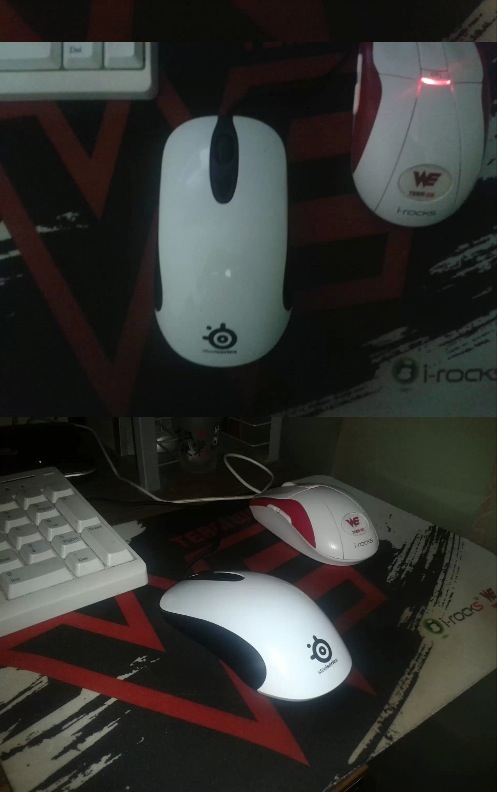 KINZU V1 ��ɫ �ް�װ