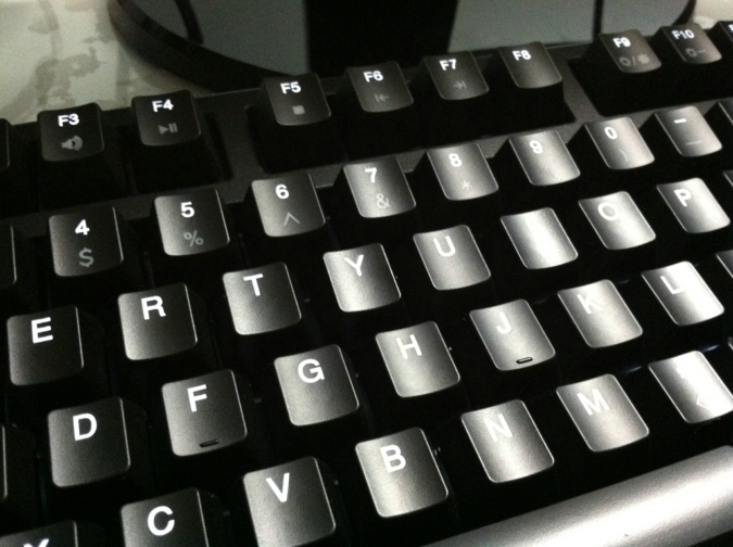 Ducky 9008S �׹�����