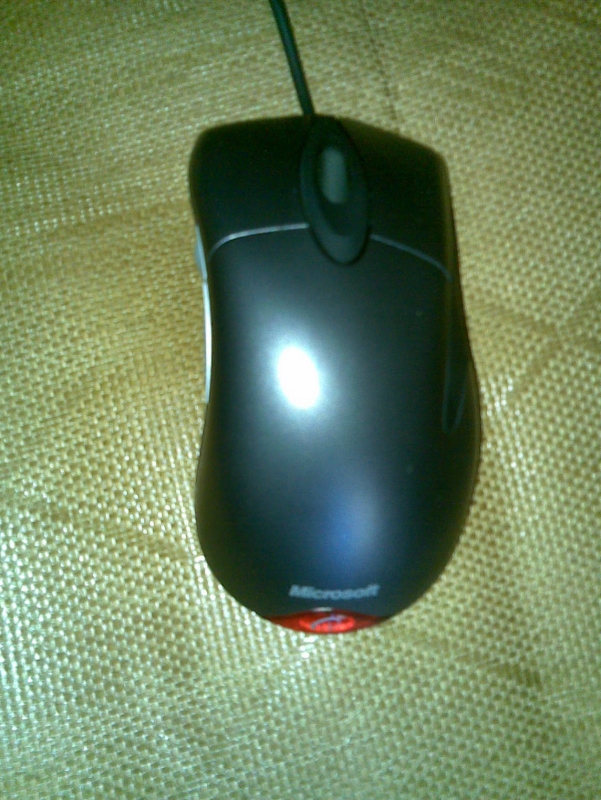 IE 3.0 FK