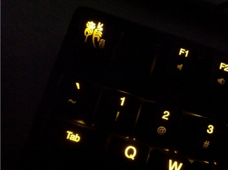 Ducky����ƹ����