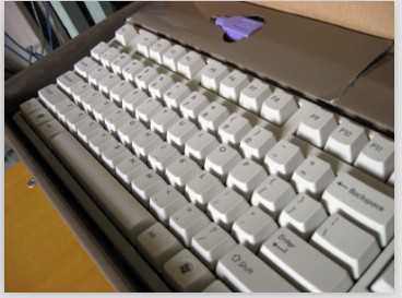 ���룬����������Filcoһ�����꣬��ɫ����